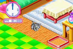 Nakayoshi Pet Advance Series 3: Kawaii Koneko screenshot 3 for GameBoy Advance